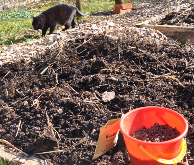 Greenspire trädgårdskonsult hönsgödsel katt luftig jord kompostjord