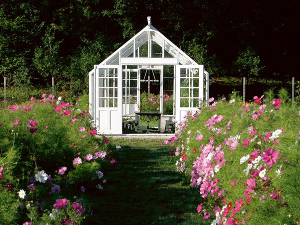 En vacker modell växthus från Swedish Green House med träprofiler.