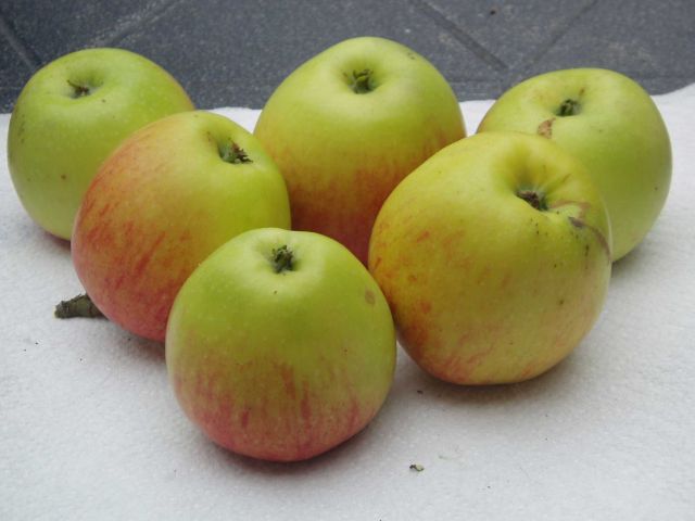 Svagt röda strimmor på en gulgrön botten har äpple James Grieve.