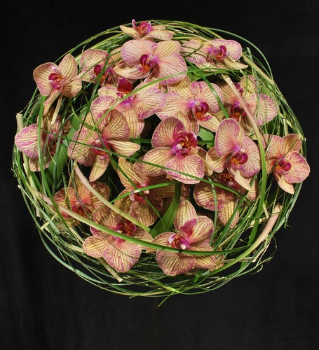 Rosa orkideer inbundna med gräs i klotform.