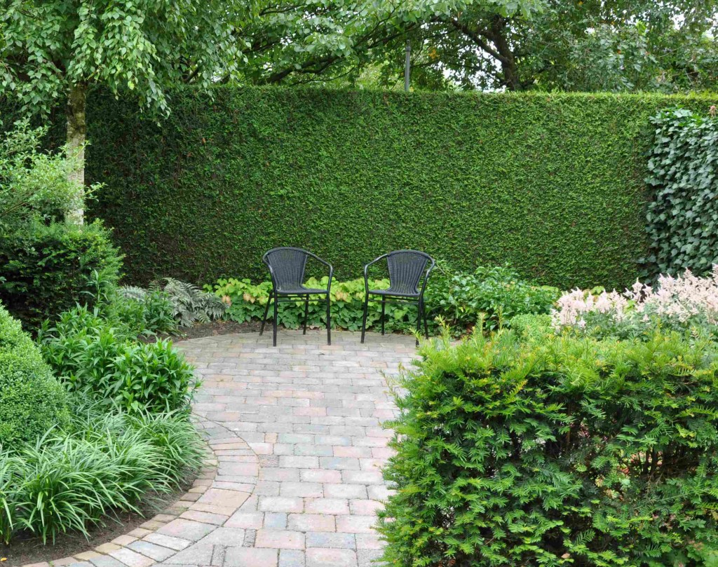 En bit häck kan skapa spänning i en öppen trädgårdsyta.