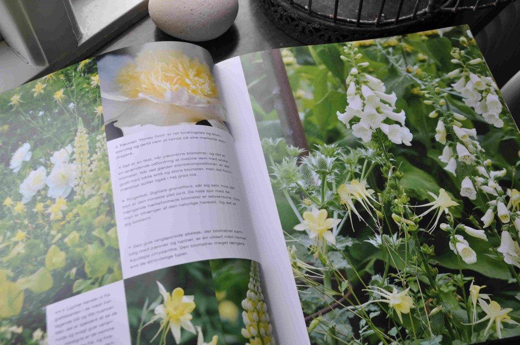 Claus Dalby är en dansk trädgårdsmästare som gett ut en bok om vita växter.