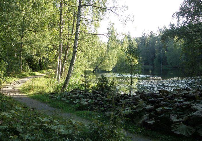 Utkanten av parkmarken kan hålla skogskaraktär.