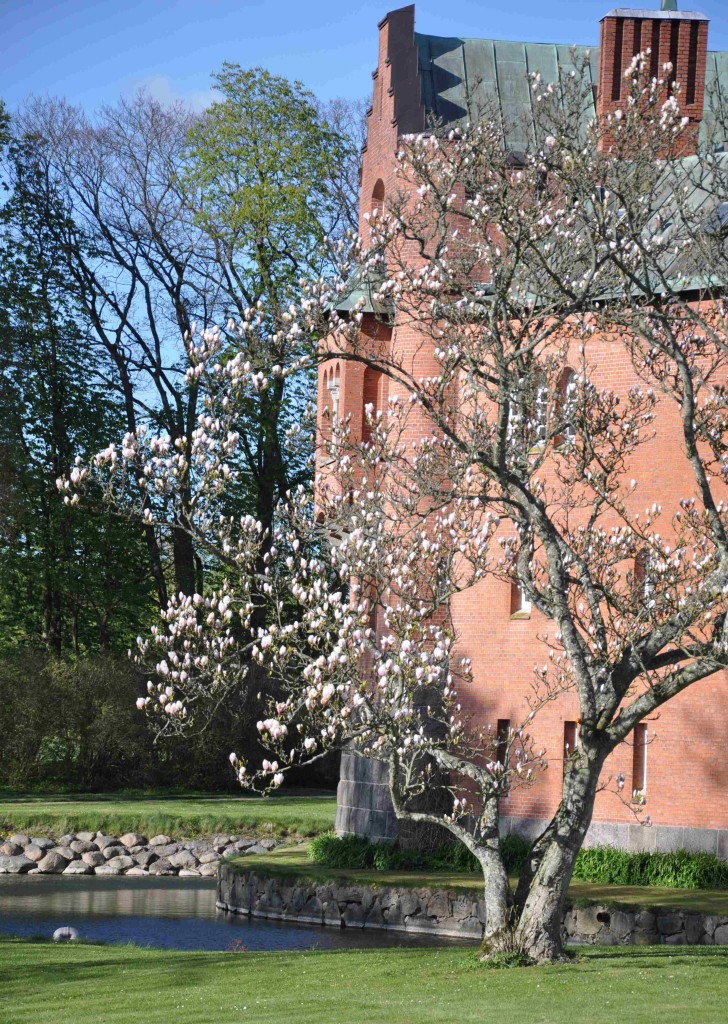 Slottsparken runt Hjularöds slott hyser en del exotiska buskar och träd.