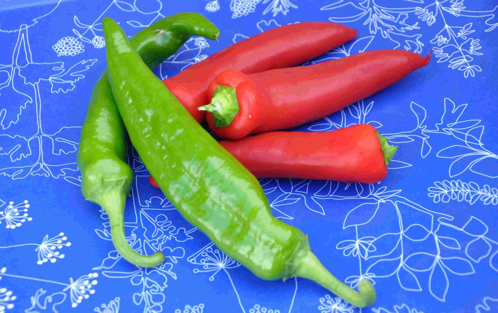 Chilipeppar finns i olika färger och former.