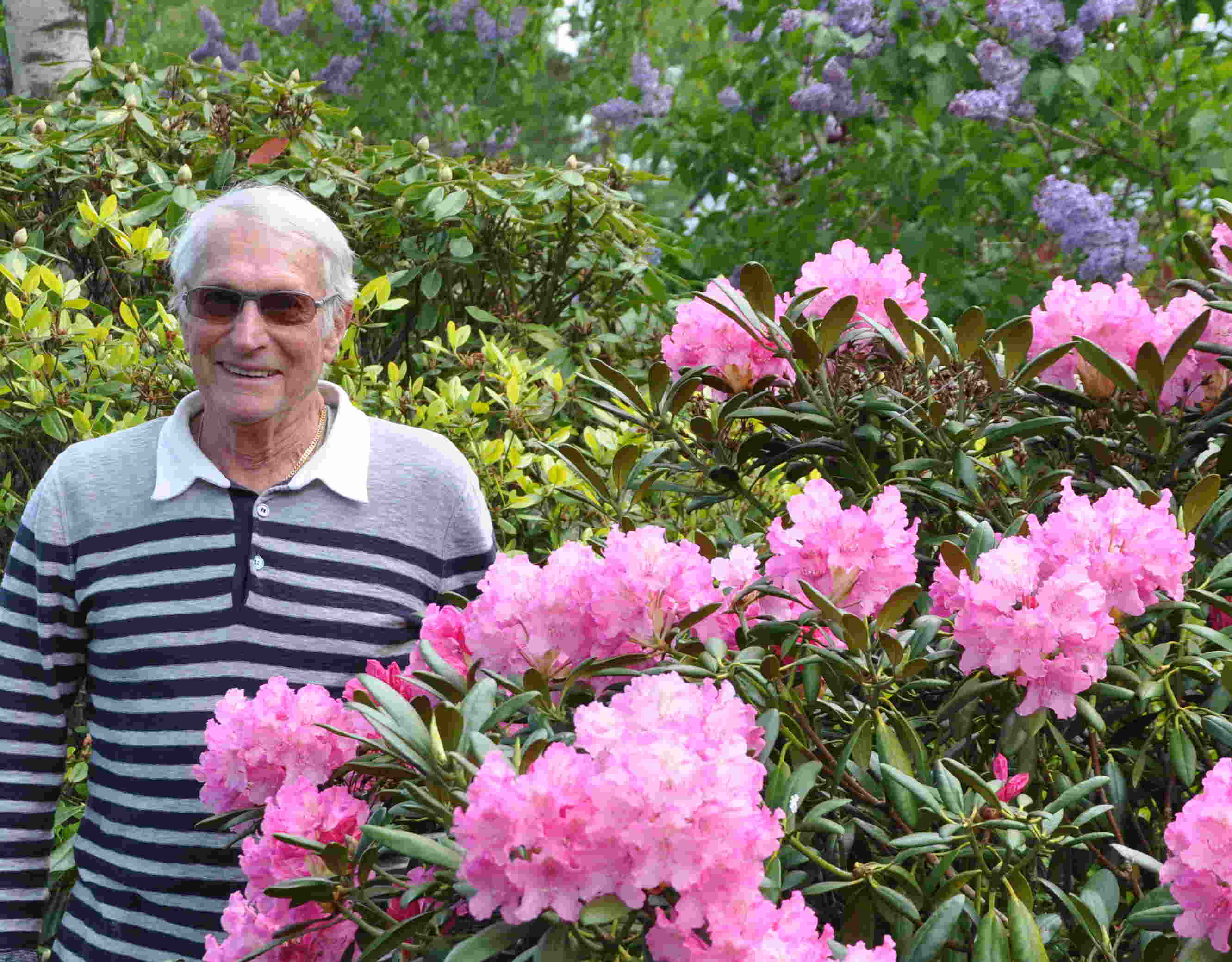 Rhododendron vill ha sur jord och luftig, torvrik jord.