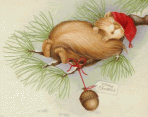 En sovande ekorre tar igen sig efter julstöket.