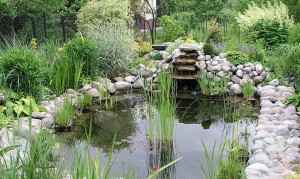 En större trädgårdsdamm med vattenfall och fiskar bidrar till en fräschare luft för allergiker.